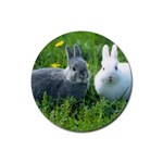 Rabbits Rubber Round Coaster (4 pack)
