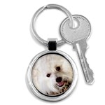 Baby Coton D Tulear - Quality Dog Lovers Round Keychain