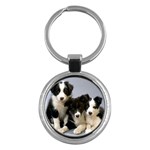 Black and White Border Collie Pups - Quality Dog Lovers Round Keychain