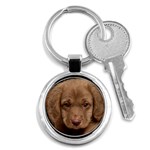 Buck Nova Scotia Duck Tolling Retriever - Quality Dog Lovers Round Keychain