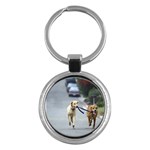 Dog Walking - Golden and Yellow Labrador Retriever Mix - Quality Dog Lovers Round Keychain