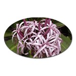 purple flowers Magnet (Oval)