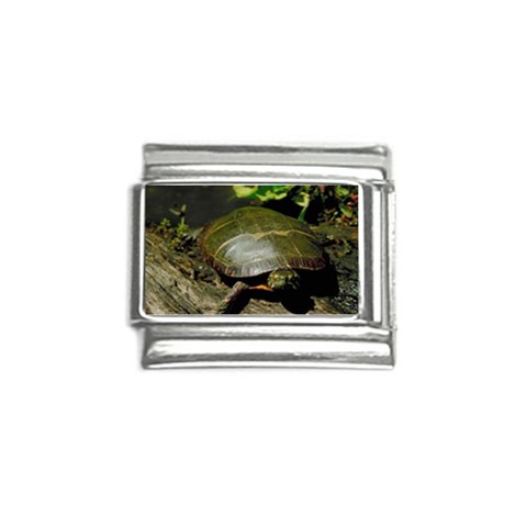 Turtle Italian Charm (9mm) from UrbanLoad.com Front