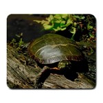 Turtle Large Mousepad