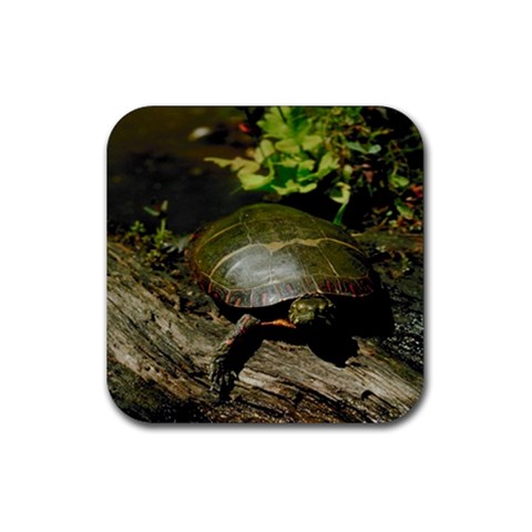 Turtle Rubber Coaster (Square) from UrbanLoad.com Front