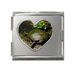 Turtle Mega Link Heart Italian Charm (18mm)
