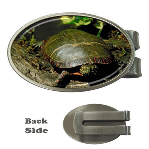 Turtle Money Clip (Oval) from UrbanLoad.com Front