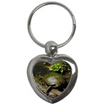 Turtle Key Chain (Heart)