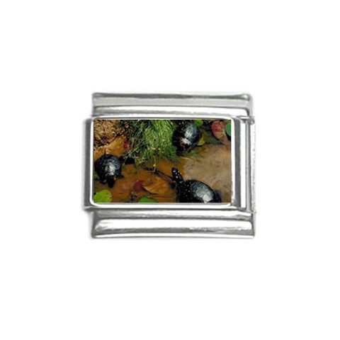 Baby Turtles Italian Charm (9mm) from UrbanLoad.com Front