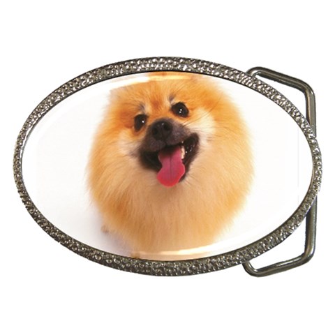 Belt Buckle from UrbanLoad.com Front