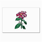 Flower Postcard 4 x 6  (Pkg of 10)