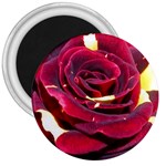 Rose 2 3  Magnet