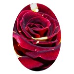 Rose 2 Ornament (Oval)