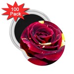 Rose 2 2.25  Magnet (100 pack) 