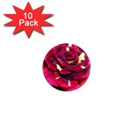 Rose 1 1  Mini Magnet (10 pack) 