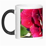 Rose 1 Morph Mug