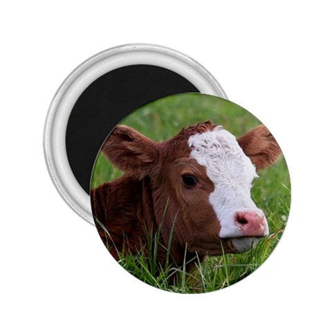 Cow Calf 2.25  Magnet from UrbanLoad.com Front