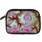 Raspberry Lime Delight, Abstract Ferris Wheel Digital Camera Leather Case
