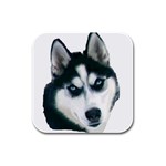 husky Rubber Square Coaster (4 pack)