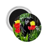 Black GSD Pup 2.25  Button Magnet