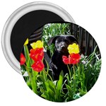 Black GSD Pup 3  Button Magnet
