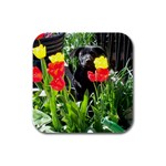 Black GSD Pup Drink Coasters 4 Pack (Square)