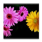 gerbera flowers photo Tile Coaster