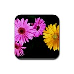 gerbera flowers photo Rubber Square Coaster (4 pack)