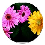 gerbera flowers photo Magnet 5  (Round)
