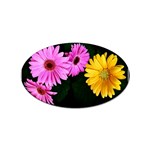gerbera flowers photo Sticker Oval (10 pack)