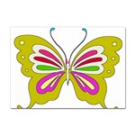 Color Butterfly  A4 Sticker 10 Pack