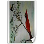 Sweet Red Cardinal Canvas 20  x 30  (Unframed)