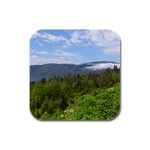 Newfoundland Drink Coasters 4 Pack (Square)