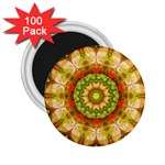 Red Green Apples Mandala 2.25  Button Magnet (100 pack)