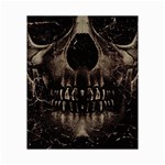 Skull Poster Background Canvas 16  x 20  (Unframed)