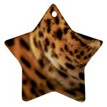 Tiger Eye Ornament (Star)