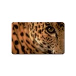 Tiger Eye Magnet (Name Card)