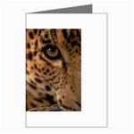 Tiger Eye Greeting Cards (Pkg of 8)