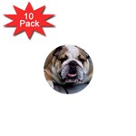 English Bulldog 1  Mini Button (10 pack) 