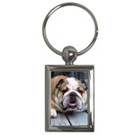 English Bulldog Key Chain (Rectangle)