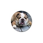 English Bulldog Golf Ball Marker (10 pack)