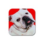 Bulldog Momma Charm Rubber Square Coaster (4 pack)