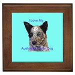 Australian Cattle Dog Framed Tile