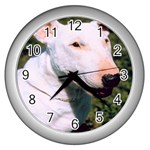 bull terrier Wall Clock (Silver)