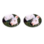 bull terrier Cufflinks (Oval)