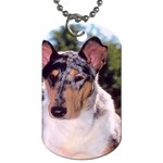 collie 2 Dog Tag (One Side)