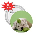 cute dog 2.25  Button (10 pack)