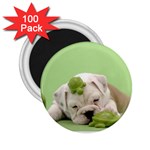 cute dog 2.25  Magnet (100 pack) 