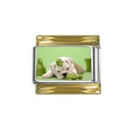 cute dog Gold Trim Italian Charm (9mm)