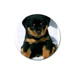 cute pup Magnet 3  (Round)